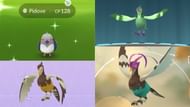 Shiny Pidove, Tranquill, and Unfezant as they appear in Pokemon GO (Image via The Pokemon Company)